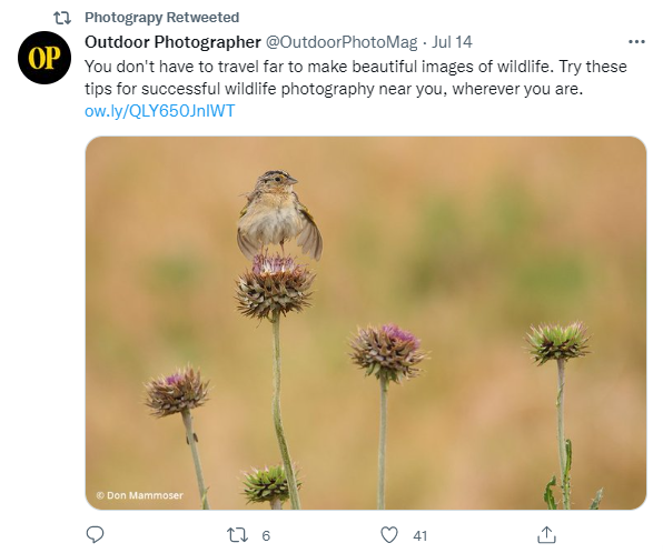 Tweet found by Soaster's auto content generator