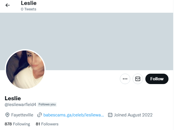 an example of false twitter account
