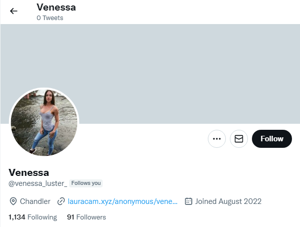 An example of bot twitter account