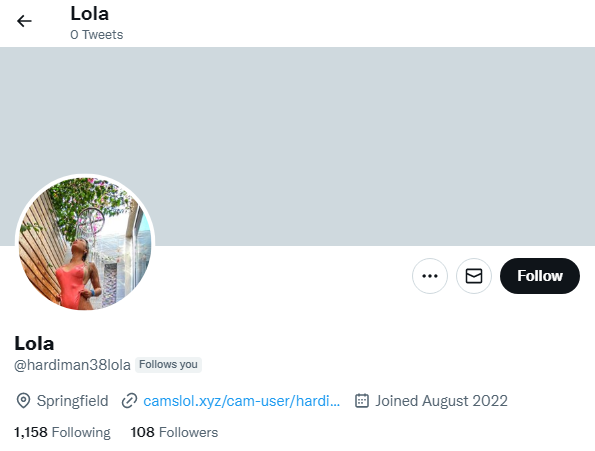 an example of spammy twitter account