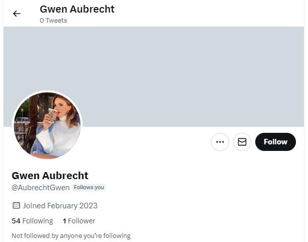 An example of fake twitter account
